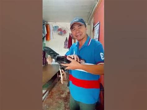 sipit sipitan ng manok|Sipit.